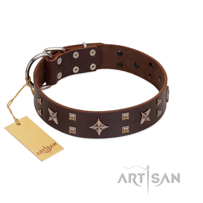 "Stars in Sands" Modern FDT Artisan Brown Leather Siberian Husky Collar with Studs and Stars