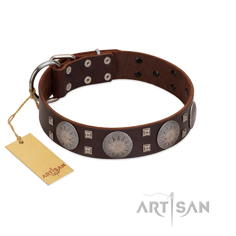 "Sun in Barchans" Modern FDT Artisan Brown Leather Siberian Husky Collar with Engraved Stars on Round Plates and Studs