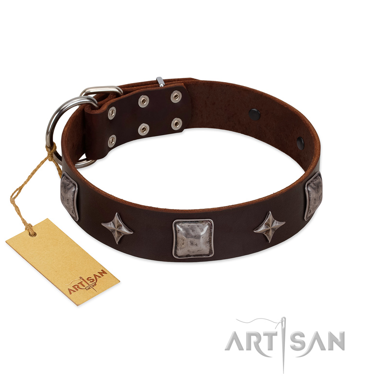 "Cold Star" Designer FDT Artisan Brown Leather Siberian Husky Collar with Silver-Like Adornments