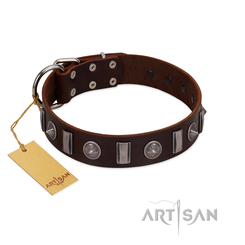 "Spiky Way" FDT Artisan Brown Leather Siberian Husky Collar with Silver-Like Decorations