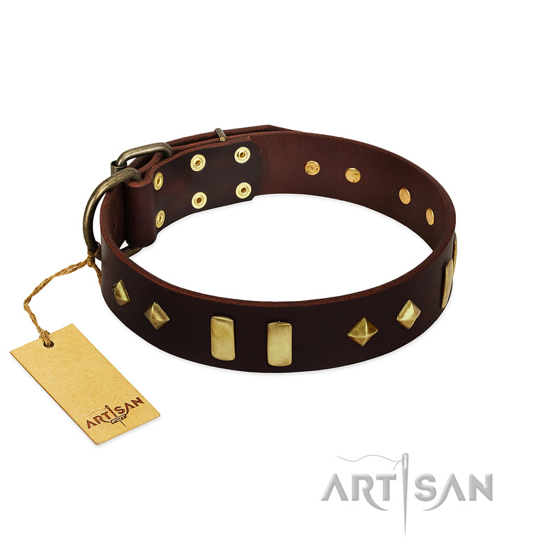 "Blinking Illusion" FDT Artisan Brown Leather Siberian Husky Collar with Old Bronze-like Studs and Plates