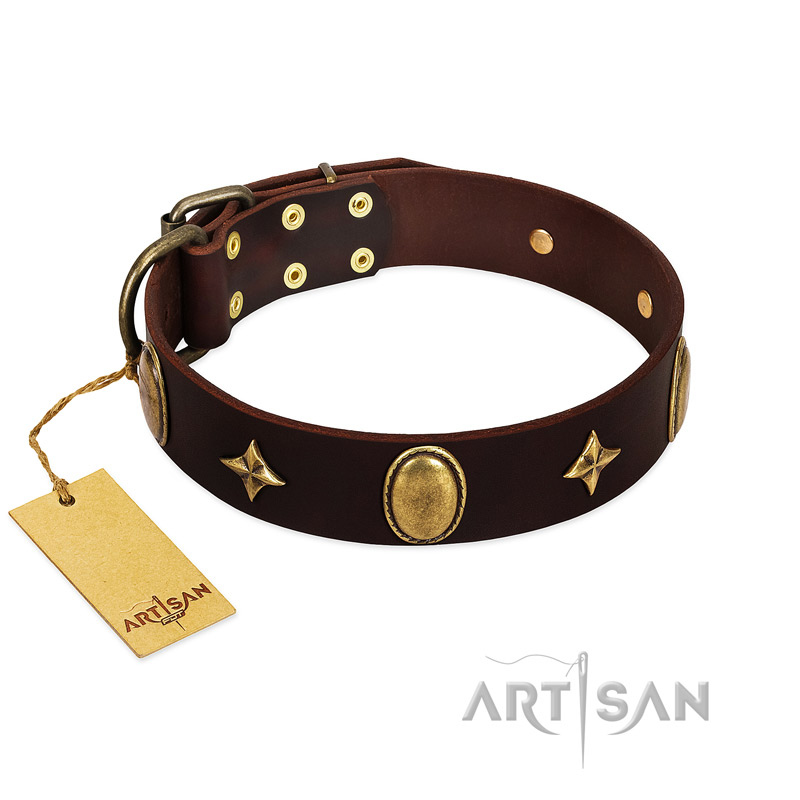 "Victory and Laurels" FDT Artisan Brown Leather Siberian Husky Collar with Ovals and Stars