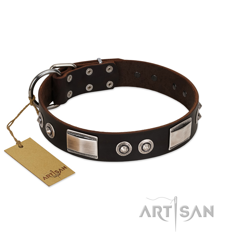 "Baller Status" FDT Artisan Brown Leather Siberian Husky Collar Adorned with a Set of Chrome Plated Studs and Plates