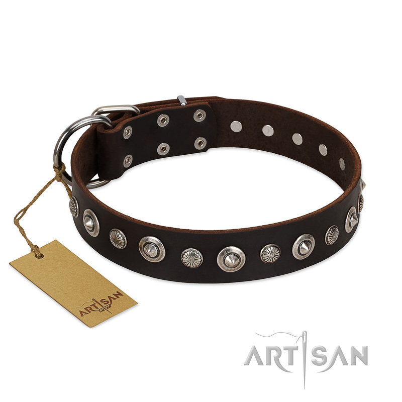 "Gorgeous Shields" FDT Artisan Brown Leather Siberian Husky Collar with Old Silver-like Circles and Small Camomiles