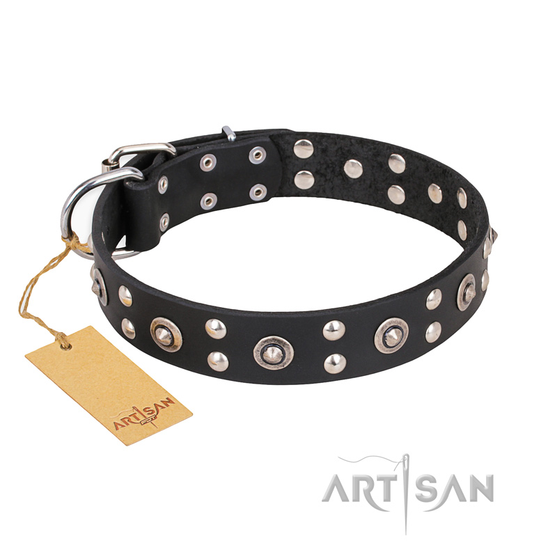"Refined Essence" FDT Artisan Black Leather Siberian Husky Collar with Silvery Studs