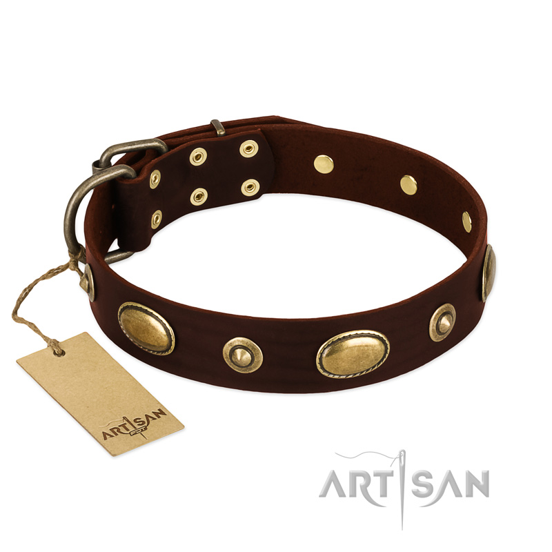 "Hebe's Jewel" FDT Artisan Brown Genuine Leather Siberian Husky Collar - Click Image to Close