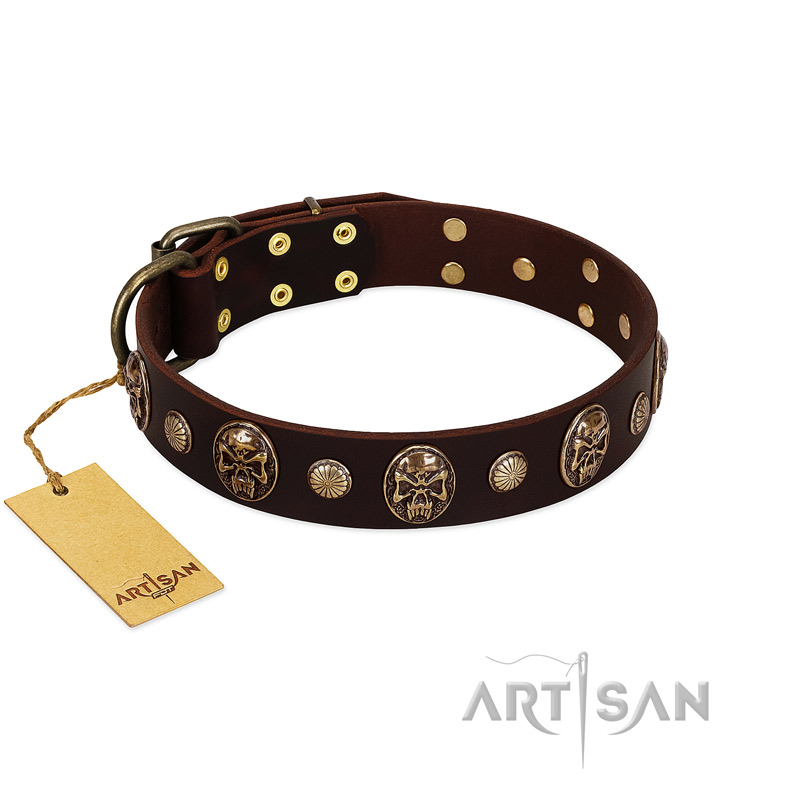 "Snazzy Paws" FDT Artisan Brown Leather Siberian Husky Collar Adorned with Conchos and Medallions