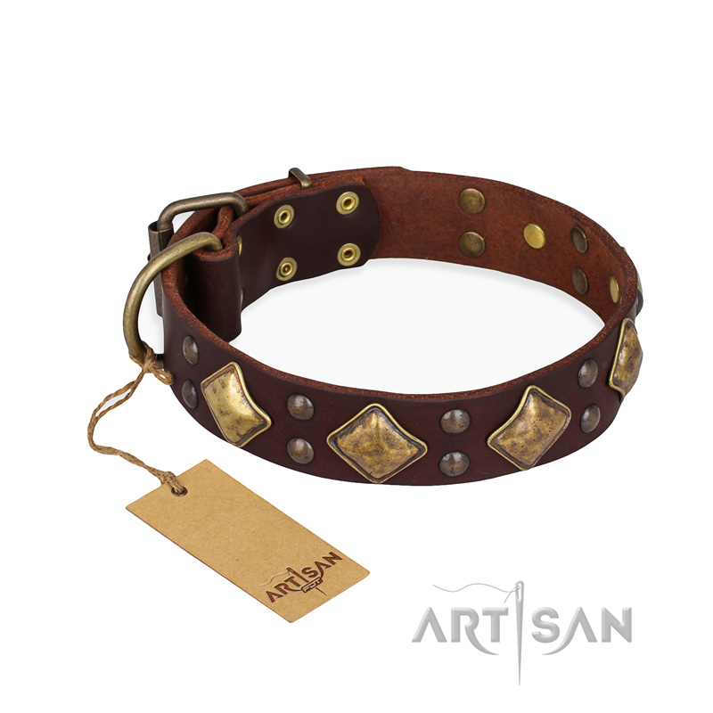 "Golden Square" FDT Artisan Brown Leather Siberian Husky Collar with Large Squares