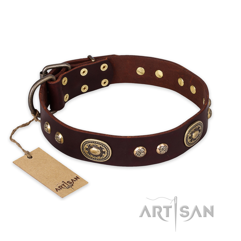 "Breath of Elegance" FDT Artisan Decorated with Plates Brown Leather Siberian Husky Collar