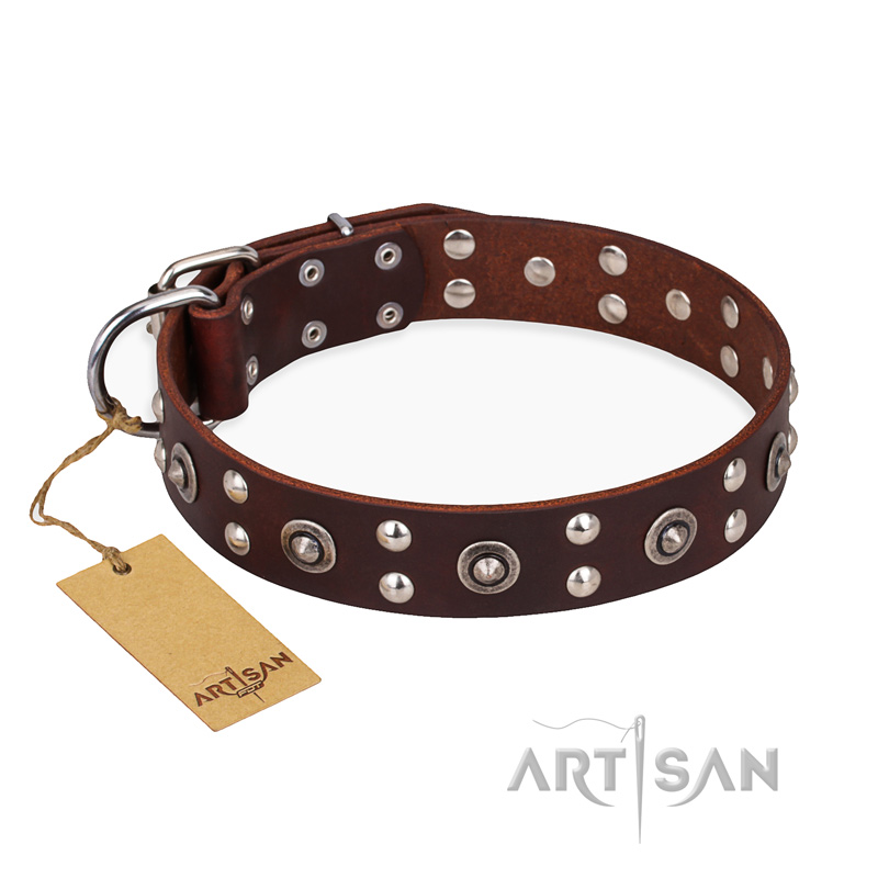"Pirate Treasure" FDT Artisan Exciting Brown Leather Siberian Husky Collar with Studs