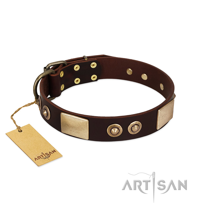"Sense of Freedom" FDT Artisan Brown Leather Siberian Husky Collar with Old Bronze-Plated Studs and Plates