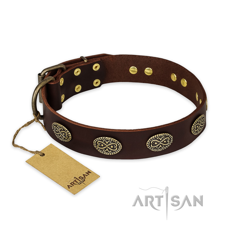 "Chocolate kiss" FDT Artisan Leather Siberian Husky Collar with Old Bronze Look Oval Plates
