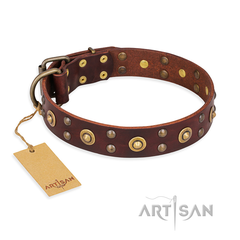 "Caprice of Fashion" FDT Artisan Brown Leather Siberian Husky Collar with Round Decorations