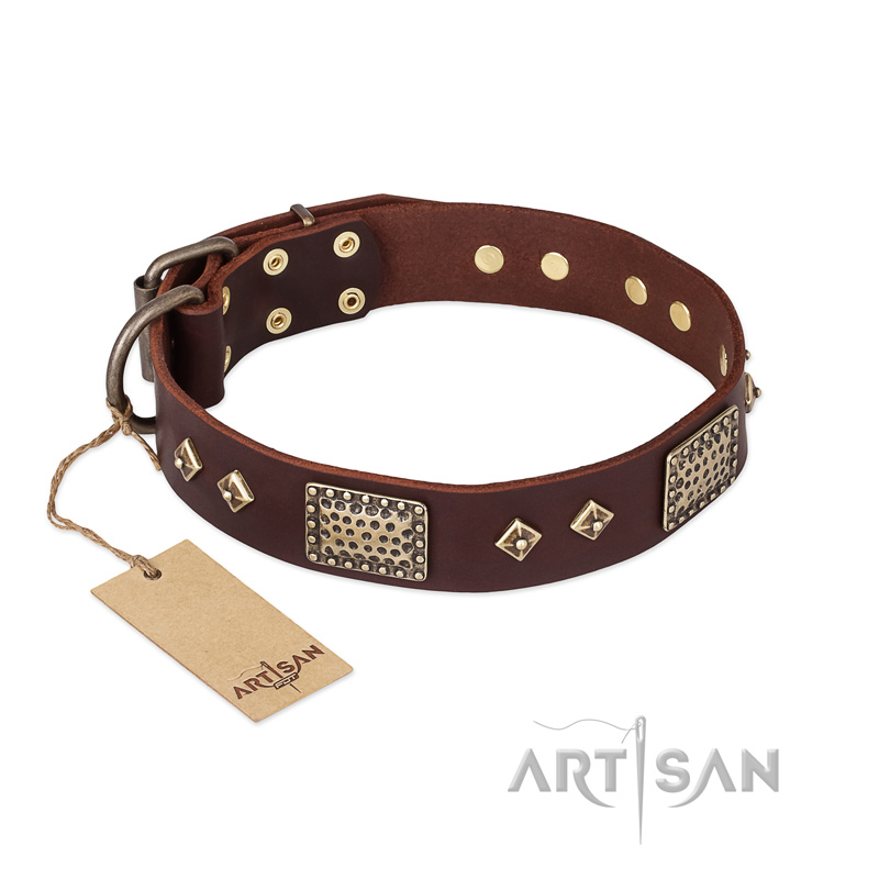 "Loving Owner" FDT Artisan Decorated Leather Siberian Husky Collar with Plates and Studs