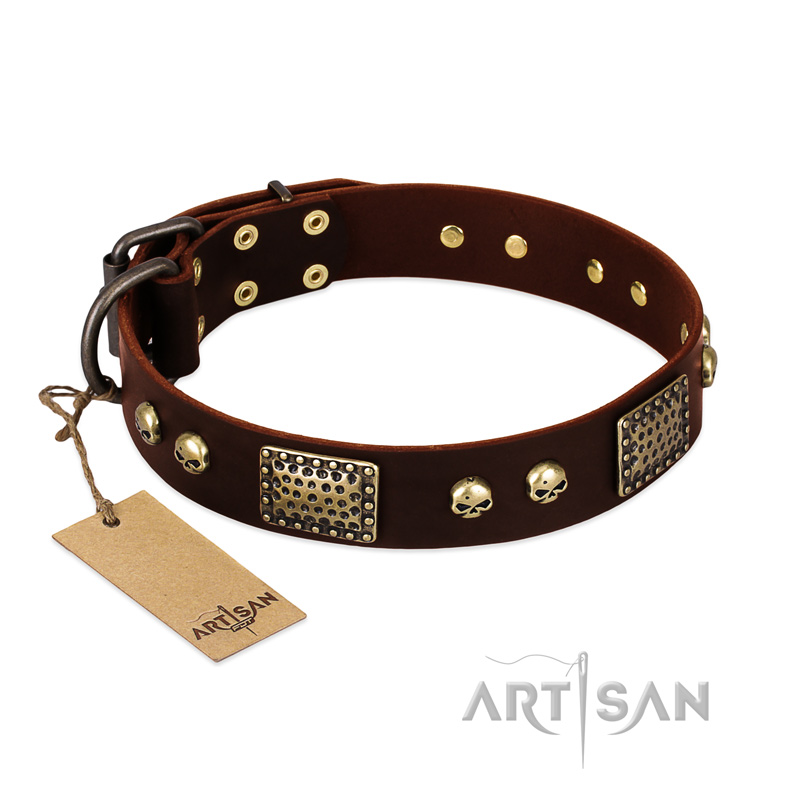 "Magic Amulet" Brown Leather Siberian Husky Collar with Skulls and Plates