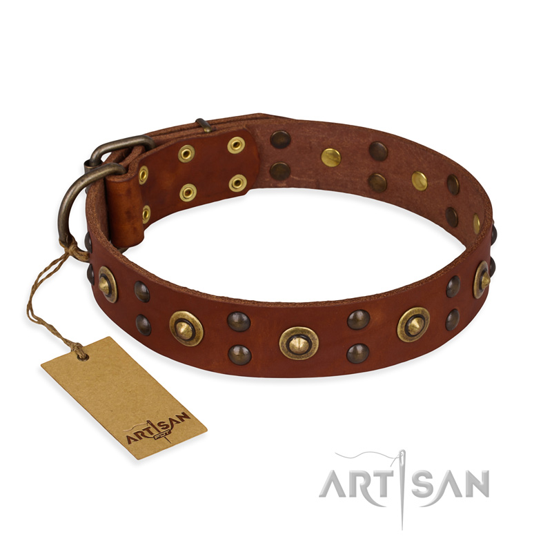 "Unfailing Charm" FDT Artisan Studded Tan Leather Siberian Husky Collar