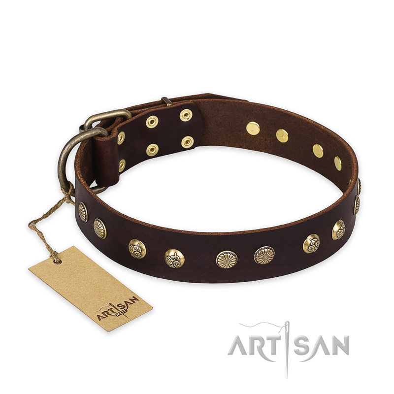 "Bronze Sheen" FDT Artisan Leather Siberian Husky Collar with Brass-Plated Studs