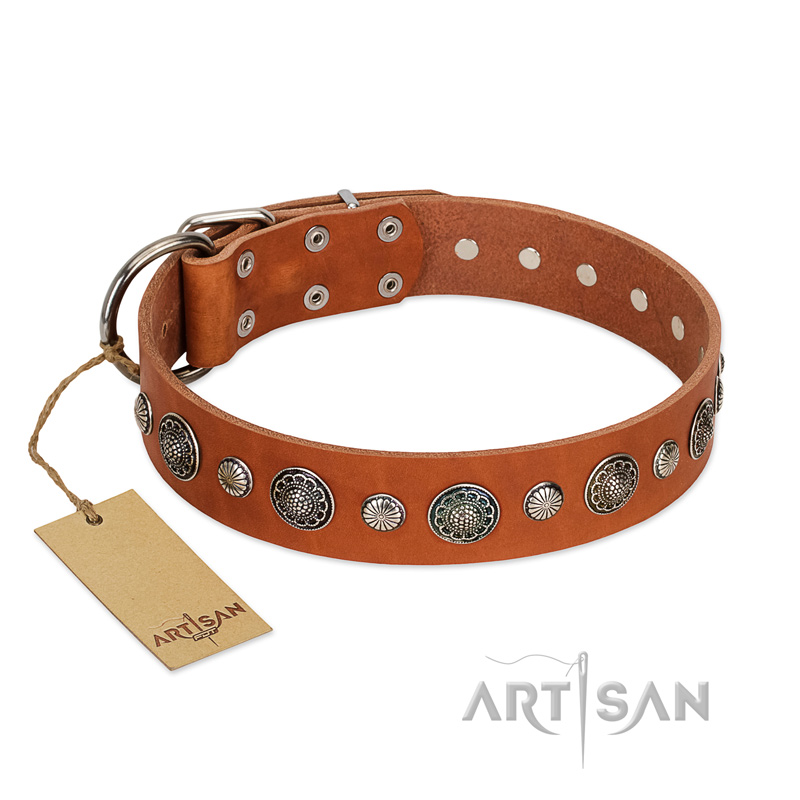 "Natural Beauty" FDT Artisan Tan Leather Siberian Husky Collar with Shining Silver-like Studs