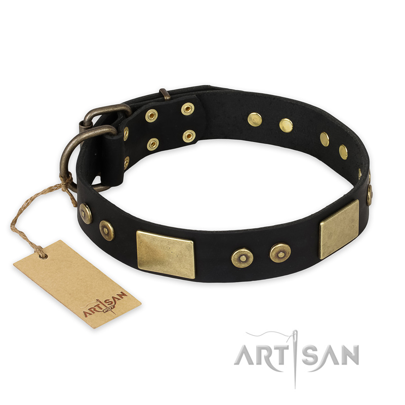 "Spanish night" FDT Artisan Fashionable Leather Walking Siberian Husky Collar
