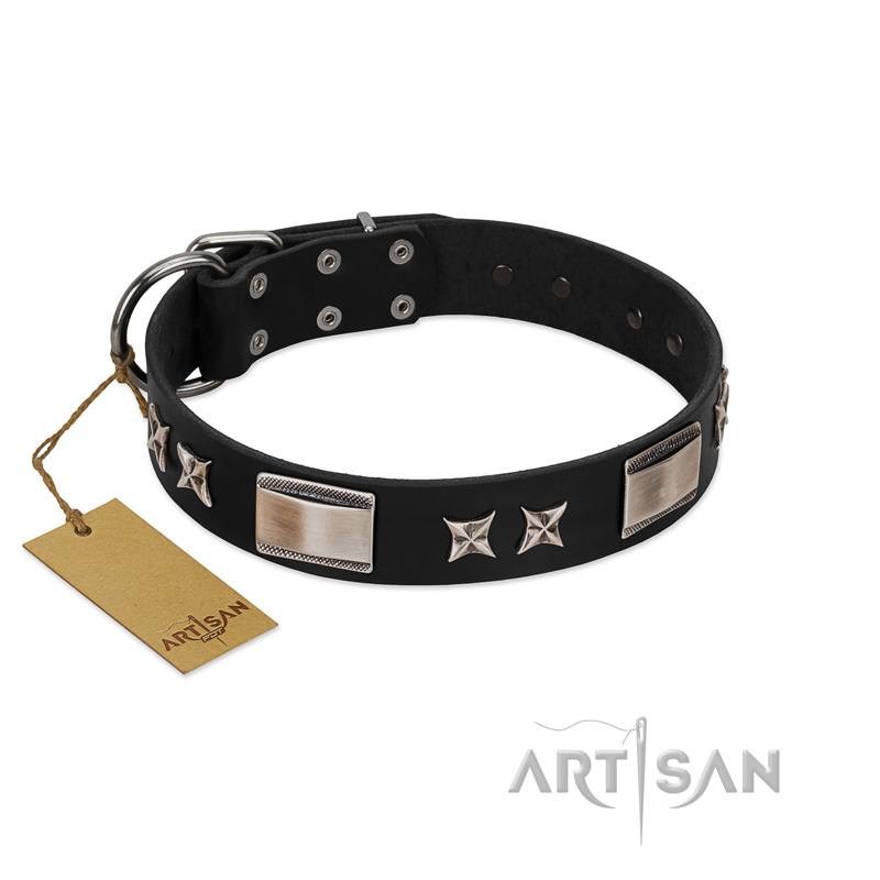"Pitch Dark" FDT Artisan Black Leather Siberian Husky Collar with Stars and Plates