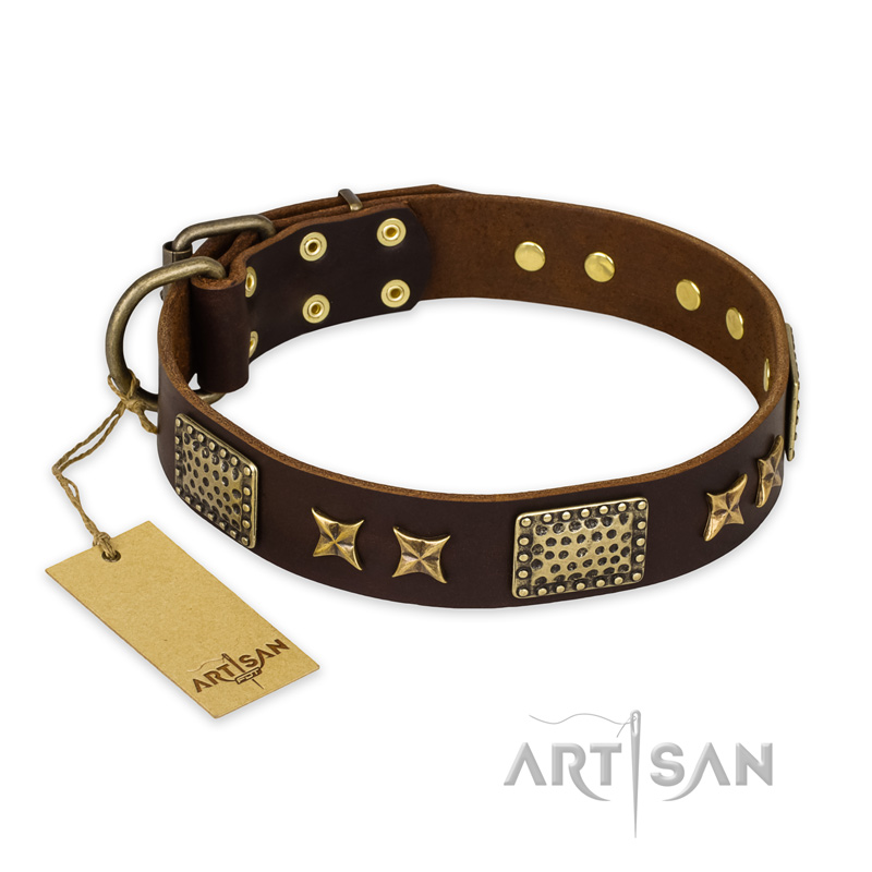 "Sparkling Bronze" FDT Artisan Genuine Leather Siberian Husky Collar with Bronze Look Stars and Plates