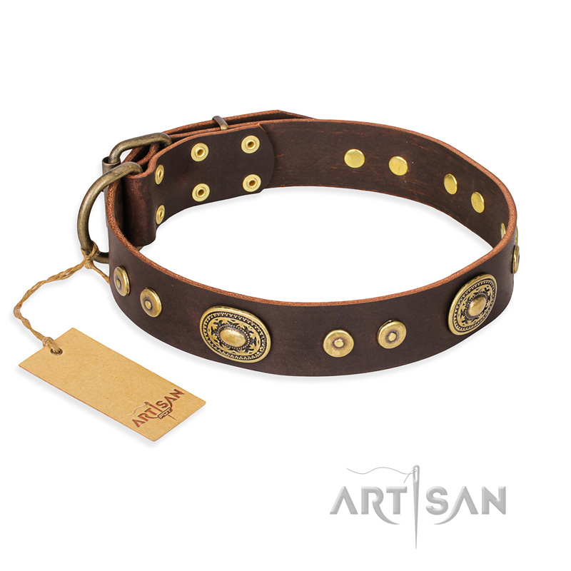 "One-of-a-Kind" FDT Artisan Handmade Decorated Brown Leather Siberian Husky Collar