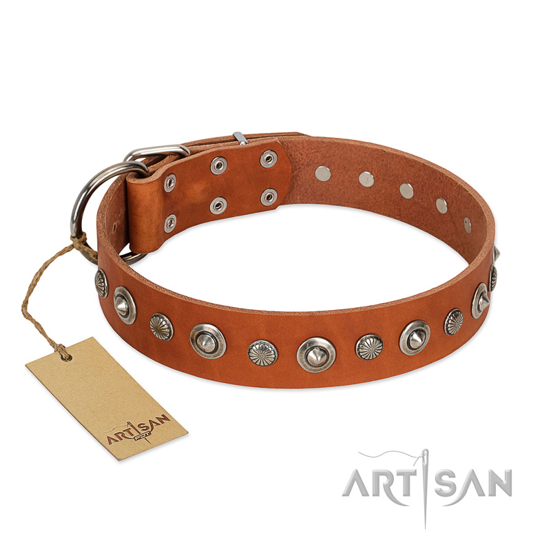 "Gorgeous Roundie" FDT Artisan Tan Leather Siberian Husky Collar with Chrome-plated Circles