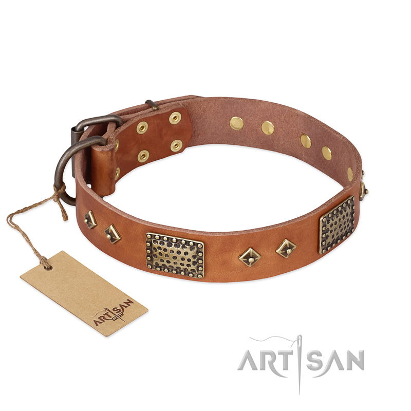 "Catchy Look" FDT Artisan Decorated Tan Leather Siberian Husky Collar