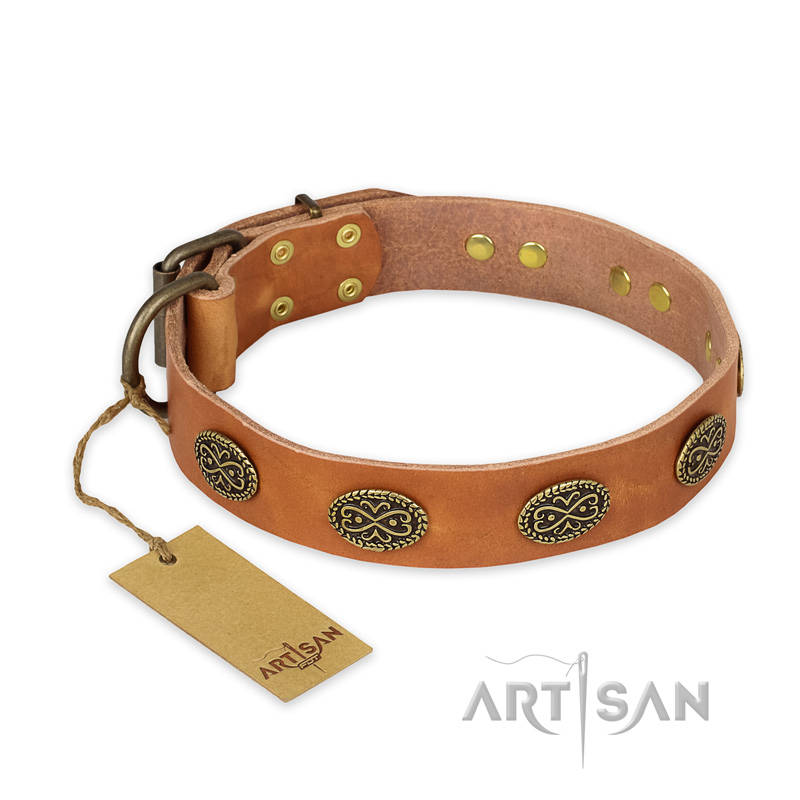"Magic Amulet" FDT Artisan Tan Leather Siberian Husky Collar with Oval Studs
