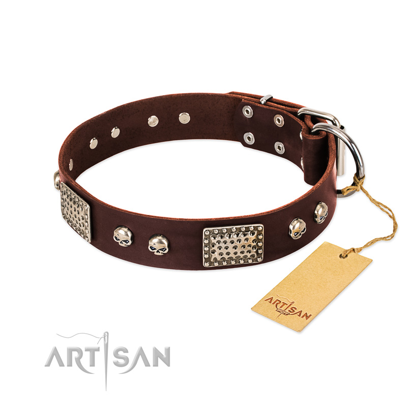 "Pirate Skull" FDT Artisan Brown Leather Siberian Husky Collar with Old Silver Look Plates and Skulls