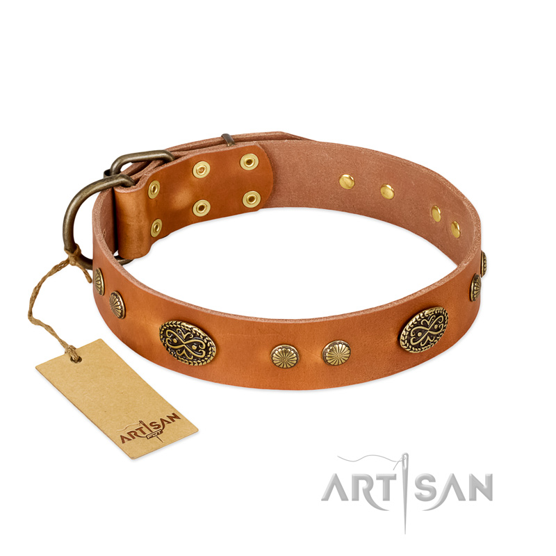 "Sun Beams" FDT Artisan Tan Leather Siberian Husky Collar with Decorations