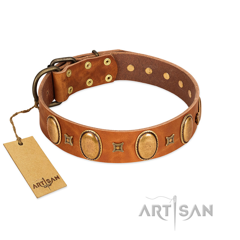"Glossy Autumn" Designer Handmade FDT Artisan Tan Leather Siberian Husky Collar with Ovals and Studs