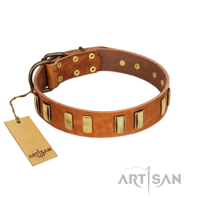 "Olive Slice" FDT Artisan Tan Leather Siberian Husky Collar with Engraved and Smooth Plates