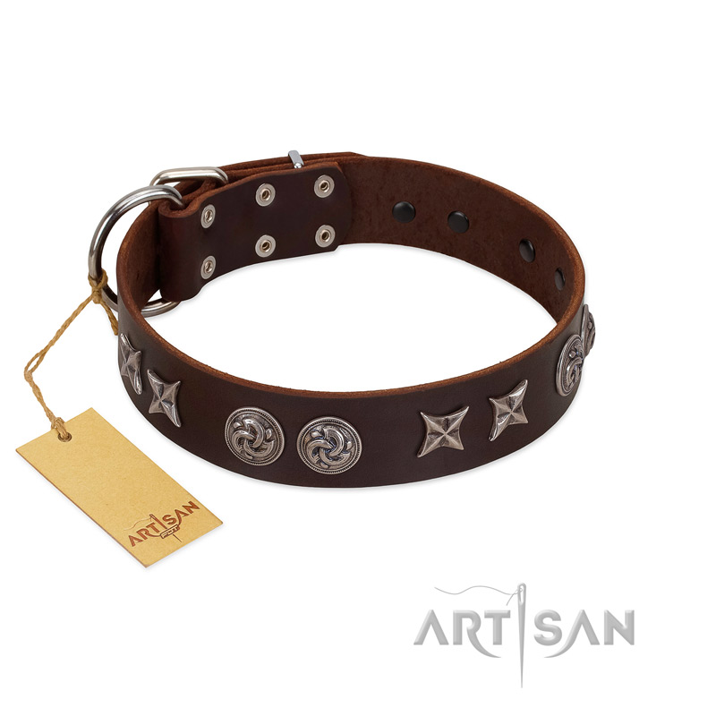 "Silver Sunset" Designer Handmade FDT Artisan Brown Leather Siberian Husky Collar