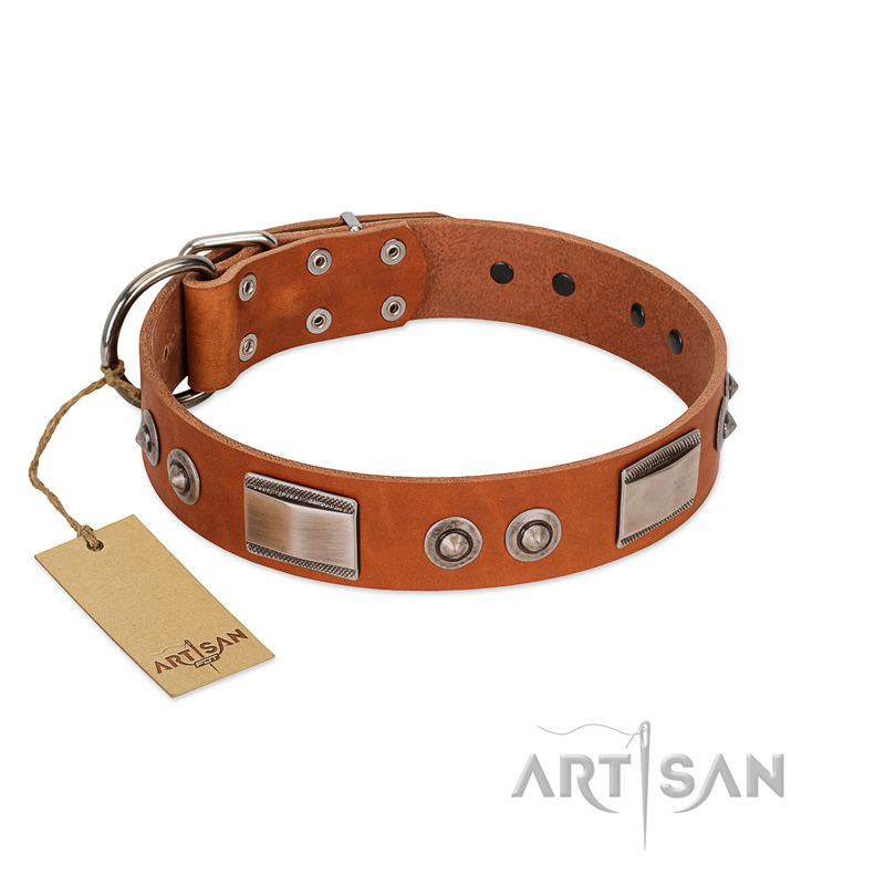 "Pawsy Glossy" FDT Artisan Exclusive Tan Leather Siberian Husky Collar 1 1/2 inch (40 mm) wide