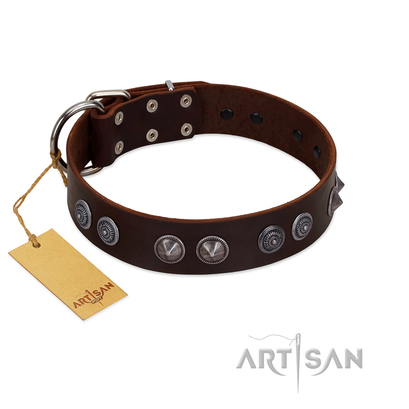 "King Arthur" FDT Artisan Brown Leather Siberian Husky Collar with Spiky Plates