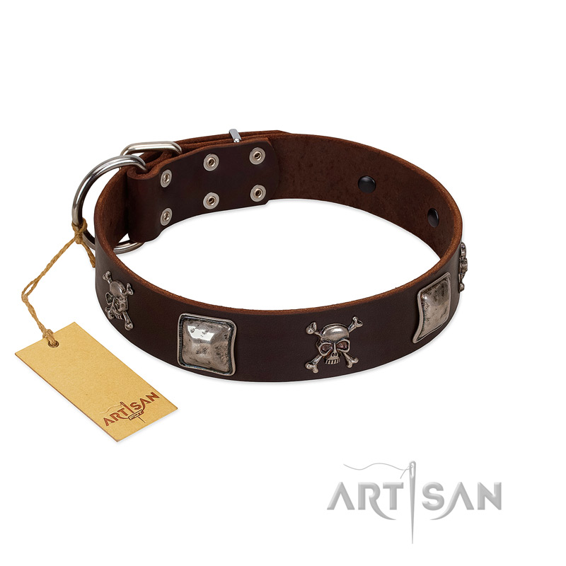 "Nut-Brown Finery" Embellished FDT Artisan Brown Leather Siberian Husky Collar with Chrome Plated Crossbones and Plates