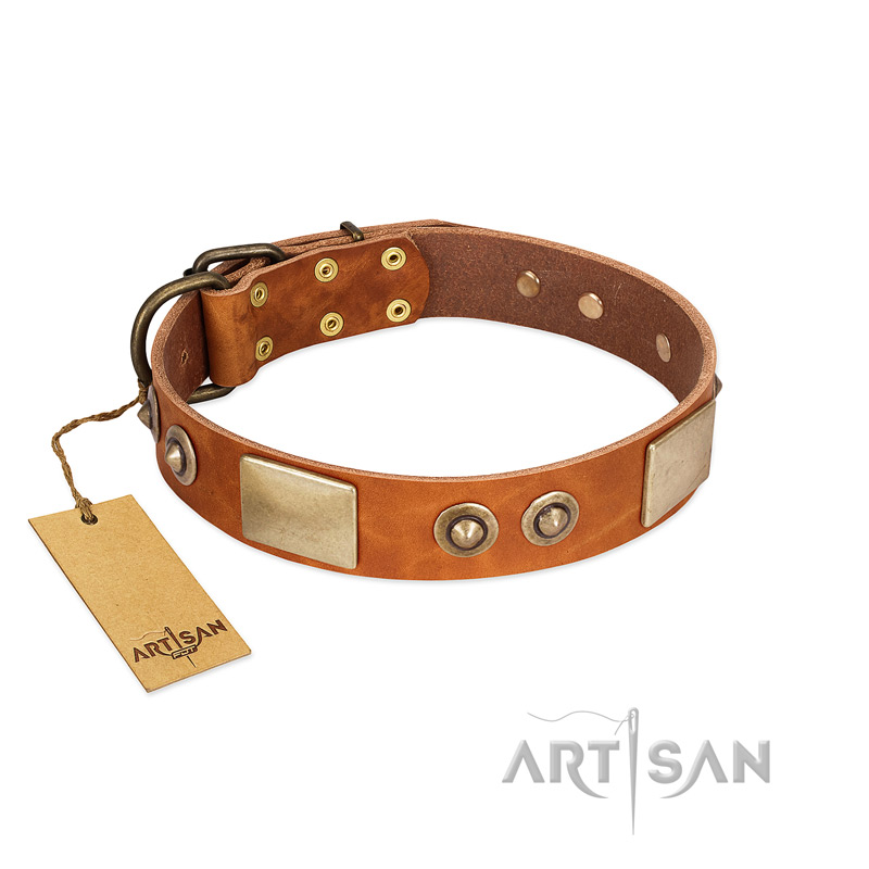 "Perfect Blend" FDT Artisan Tan Leather Siberian Husky Collar 1 1/2 inch (40 mm) wide
