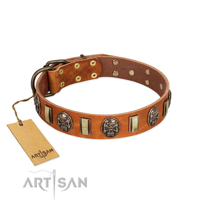 "Strike of Rock" FDT Artisan Tan Leather Siberian Husky Collar with Plates and Medallions with Skulls