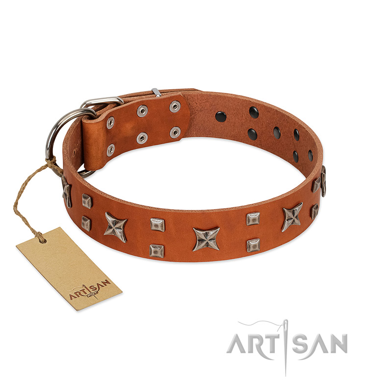 "Faraway Galaxy" FDT Artisan Tan Leather Siberian Husky Collar Adorned with Stars and Squares