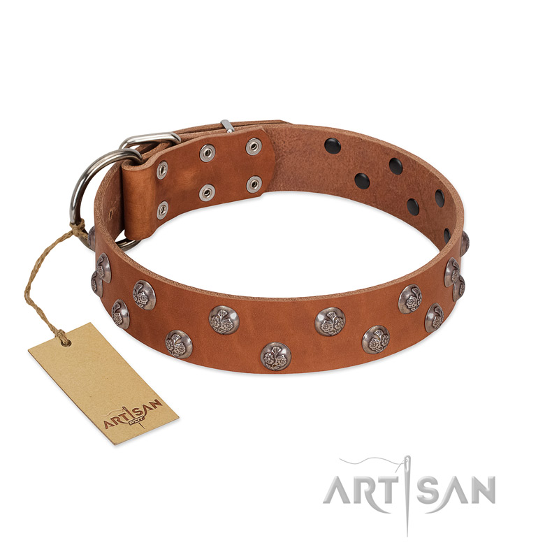 "Waltz of the Flowers" Handmade FDT Artisan Tan Leather Siberian Husky Collar with Chrome-plated Engraved Studs