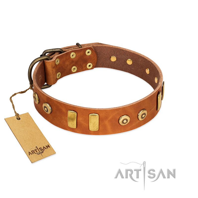 "Egyptian Script" FDT Artisan Tan Leather Siberian Husky Collar with Plates and Small Studs