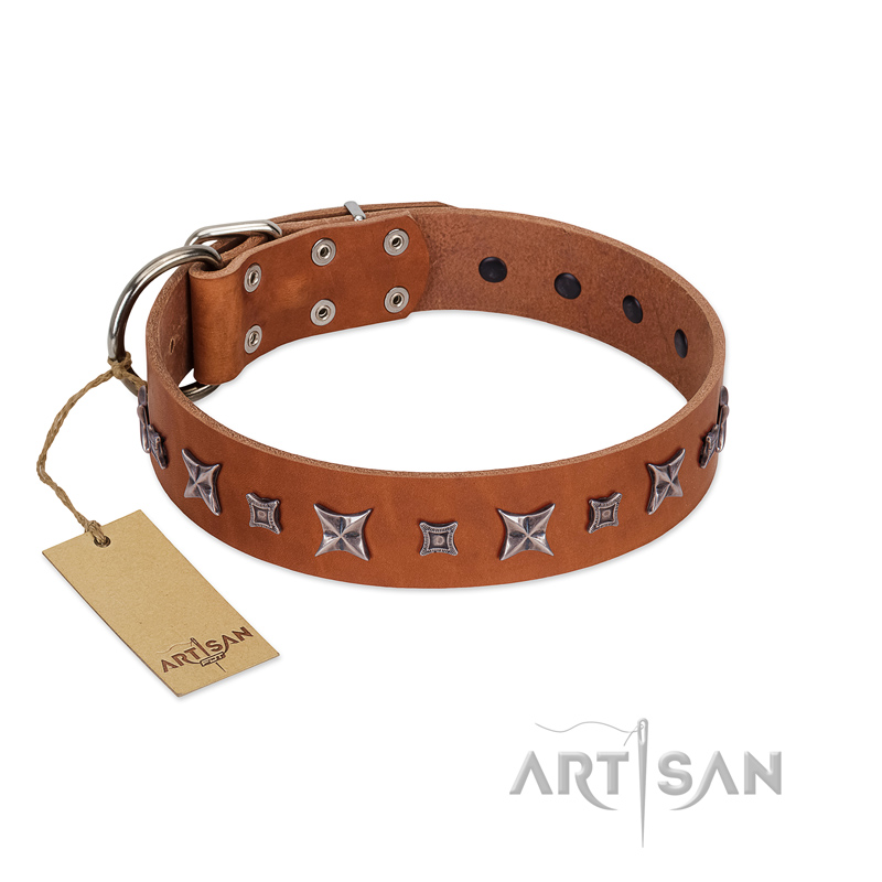 "Star Shine" Exclusive FDT Artisan Tan Leather Siberian Husky Collar with Silver-Like Adornments