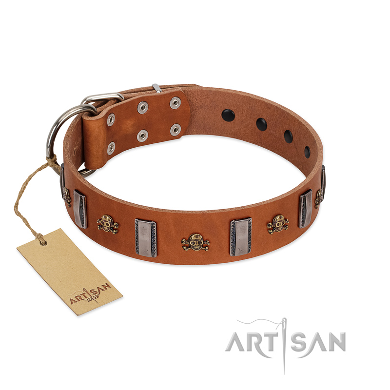 "Golden Crossbones" Handmade FDT Artisan Tan Leather Siberian Husky Collar with Plates and Skulls