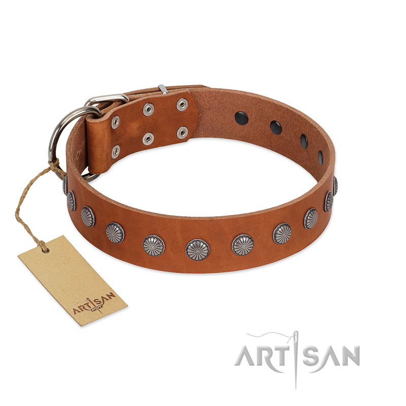 "Little Floret" Fashionable FDT Artisan Tan Leather Siberian Husky Collar with Silver-Like Adornments