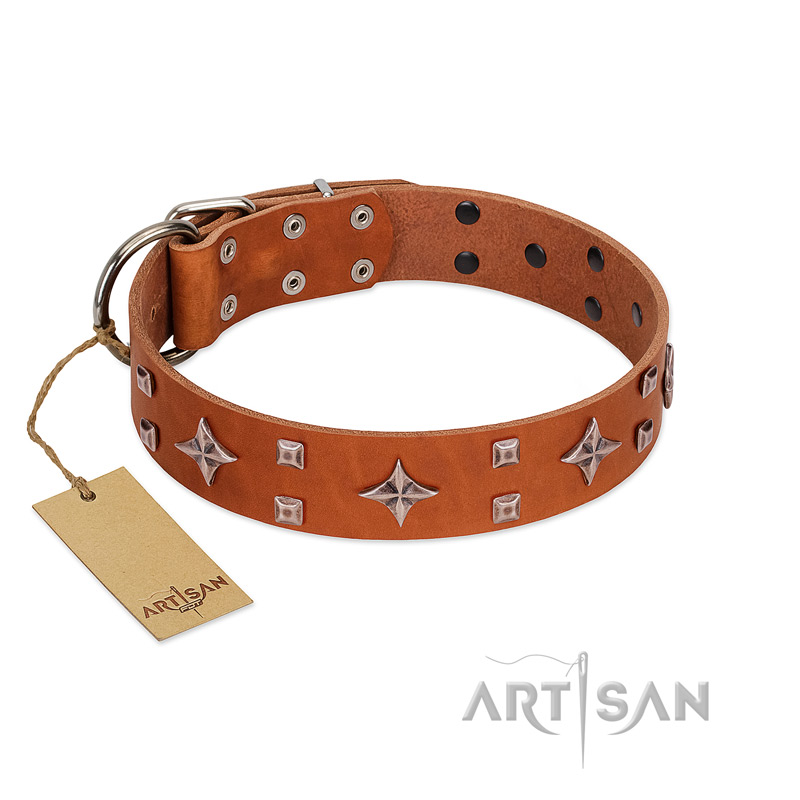 "Tawny Beauty" FDT Artisan Tan Leather Siberian Husky Collar Adorned with Stars and Tiny Squares