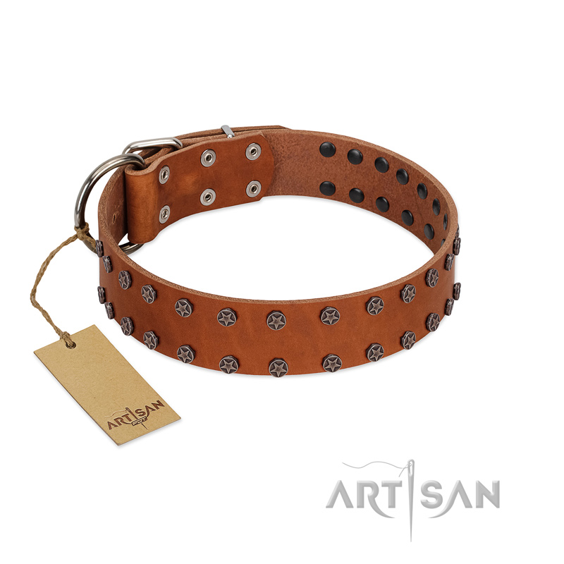 "Star Light" Stylish FDT Artisan Tan Leather Siberian Husky Collar with Silver-Like Studs