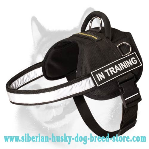 Reflective Stripe Nylon Harness for Siberian Husky
