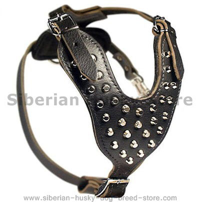 Stylish Studded Leather Dog Harness for Siberian Husky