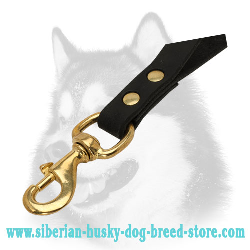 Brass snap hook of leather dog leash for Husky